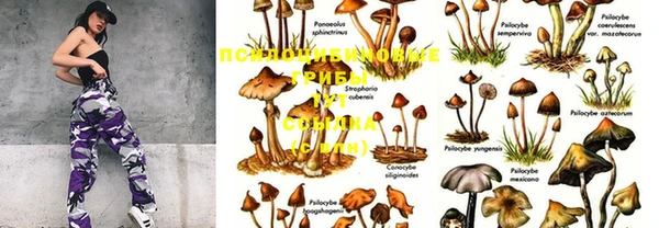 мяу мяу кристалл Карпинск