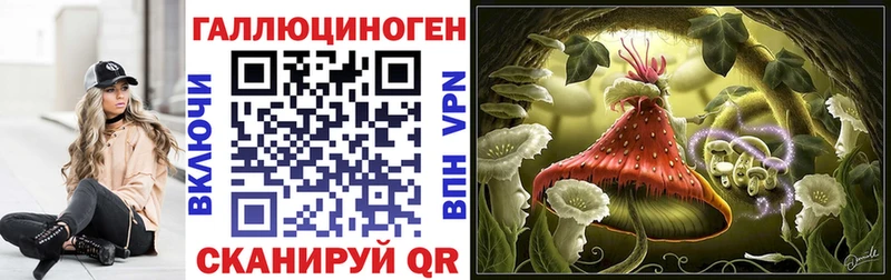 Купить  Олонец  Галлюциногенные грибы Psilocybe 